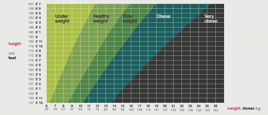 身体質量指数（ BMI ）計算機