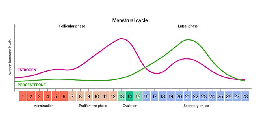 Calculadora de ovulación